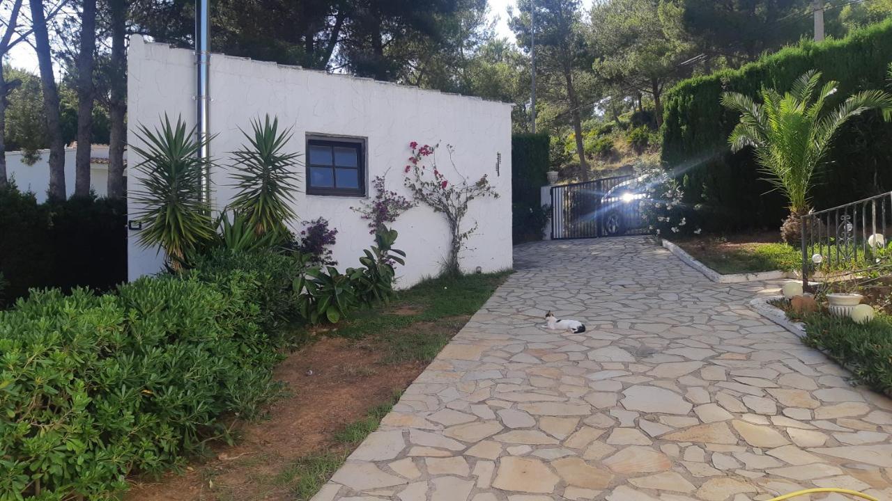 Ferienwohnung Mit Privat-Pool Alcoceber Luaran gambar