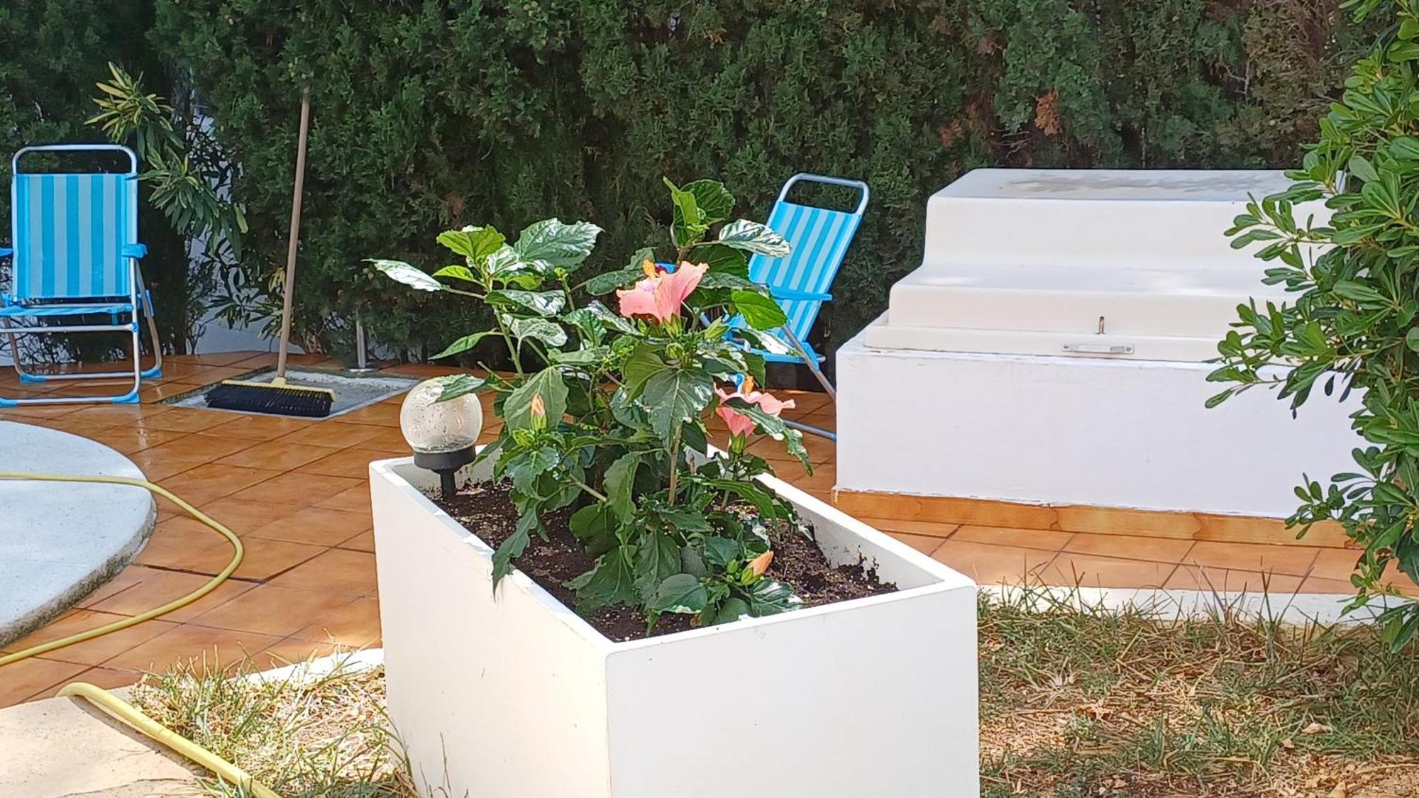 Ferienwohnung Mit Privat-Pool Alcoceber Luaran gambar