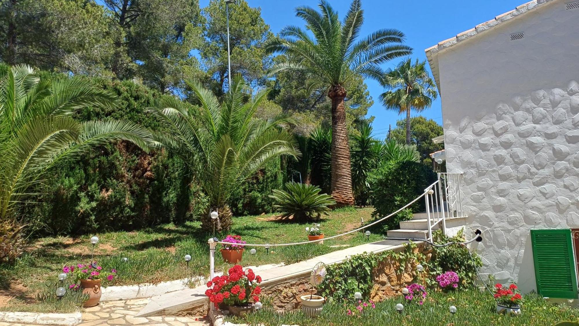 Ferienwohnung Mit Privat-Pool Alcoceber Luaran gambar